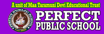 PERFECT PUBLIC SCHOOL Logo